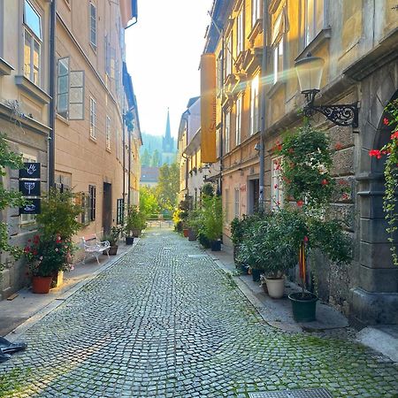1Br Apartment On The Most Beautiful Street In Ljubljana Center エクステリア 写真